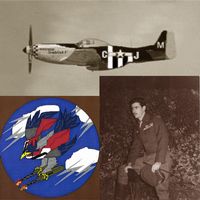 Never Lark nor Eagle... Vol I Cover